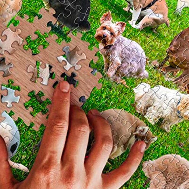 Poop-Hunde Puzzle 1000 Stück