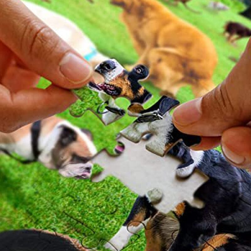 Poop-Hunde Puzzle 1000 Stück