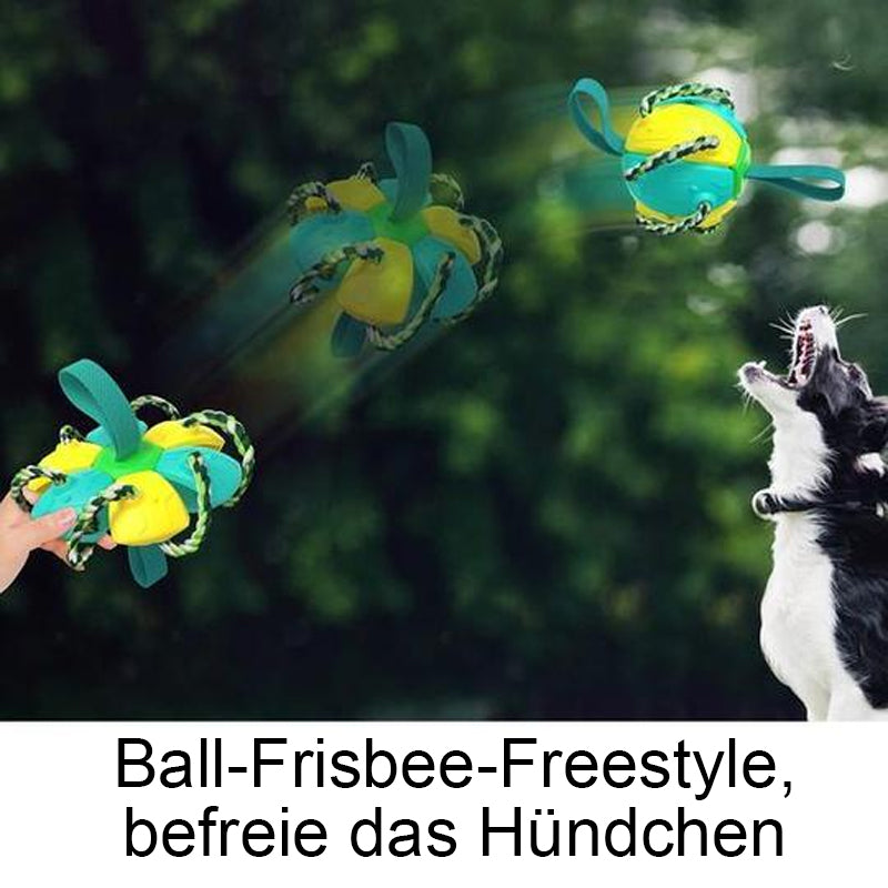 Bissfestes Hundespielzeug Frisbeefußball