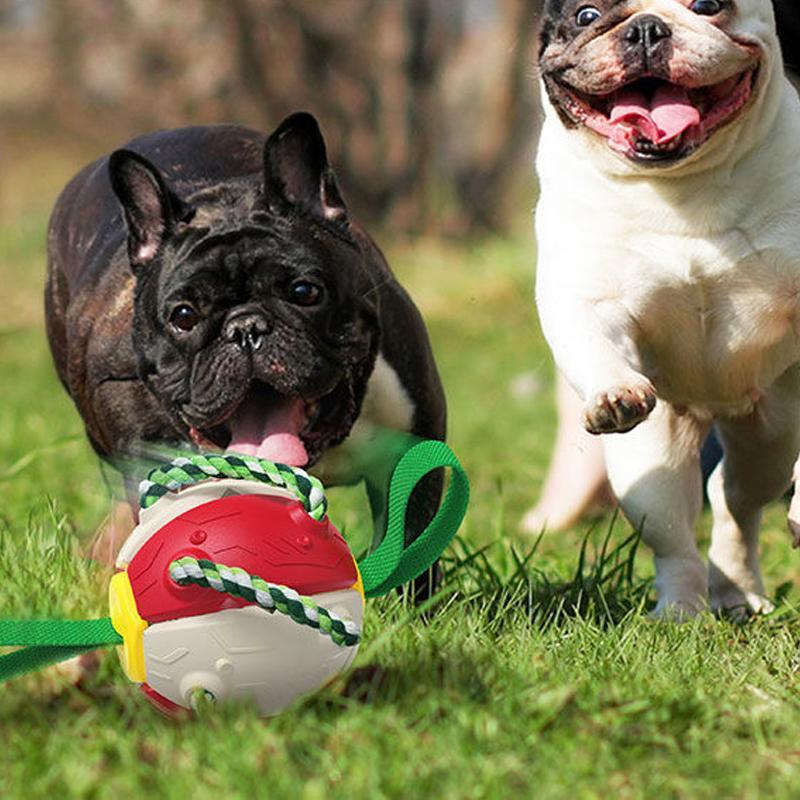 Bissfestes Hundespielzeug Frisbeefußball