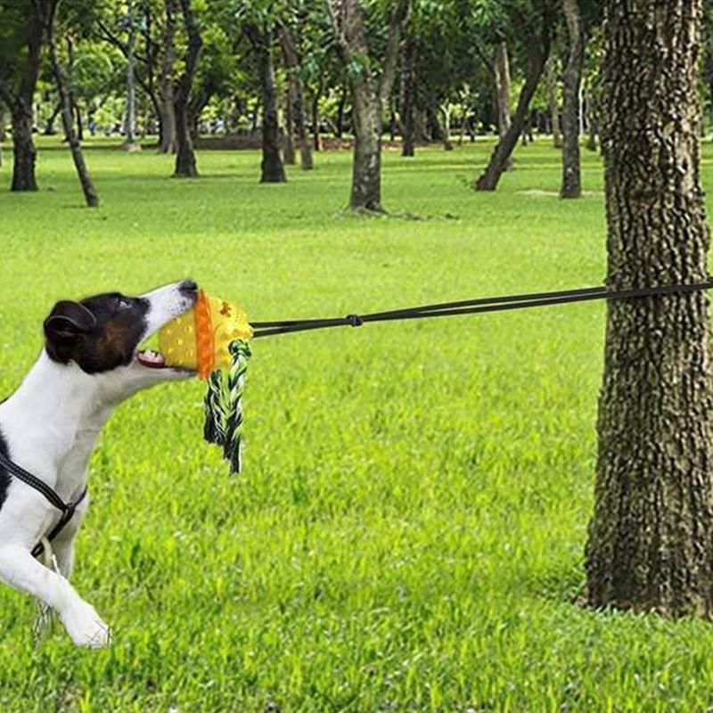 Nettjade™ Pet Seilball Outdoor-Trainingsspielzeug