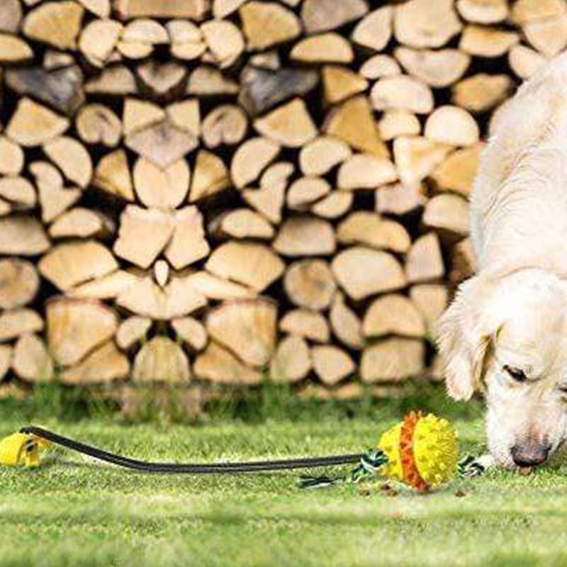 Nettjade™ Pet Seilball Outdoor-Trainingsspielzeug