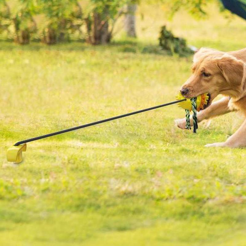 Nettjade™ Pet Seilball Outdoor-Trainingsspielzeug