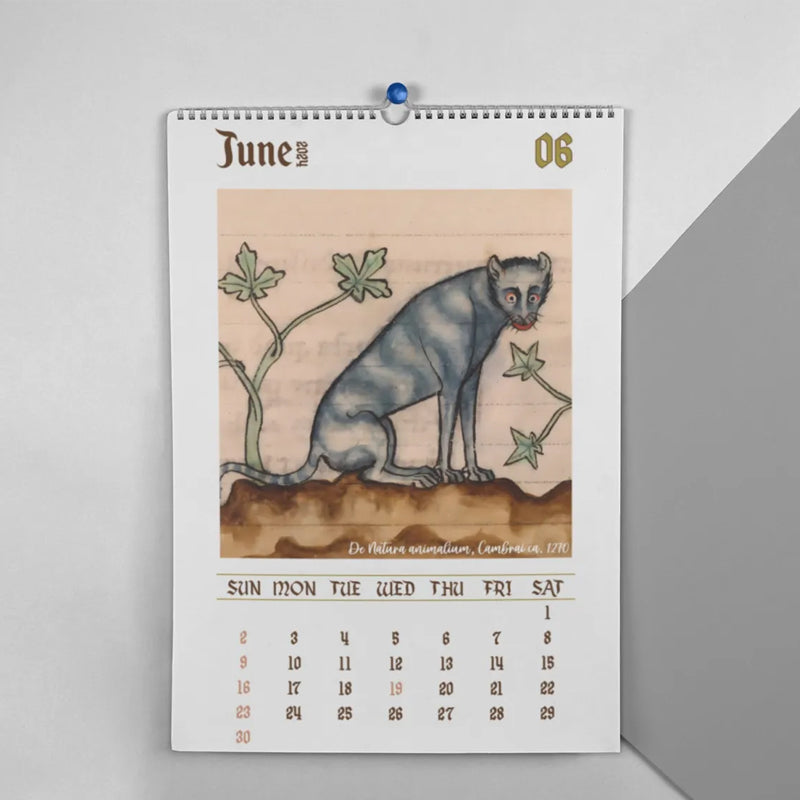 2024 Seltsame mittelalterliche Katzen Kalender