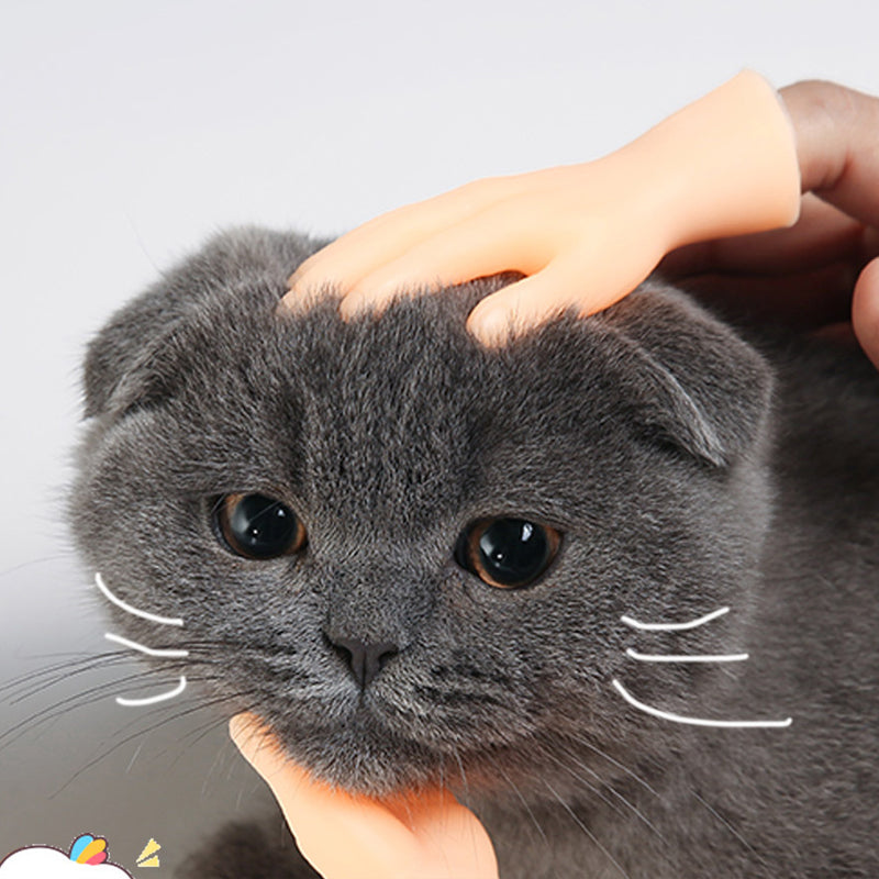 Fingerlinge zum Streicheln von Katzen